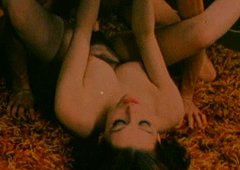 Annette Haven 2